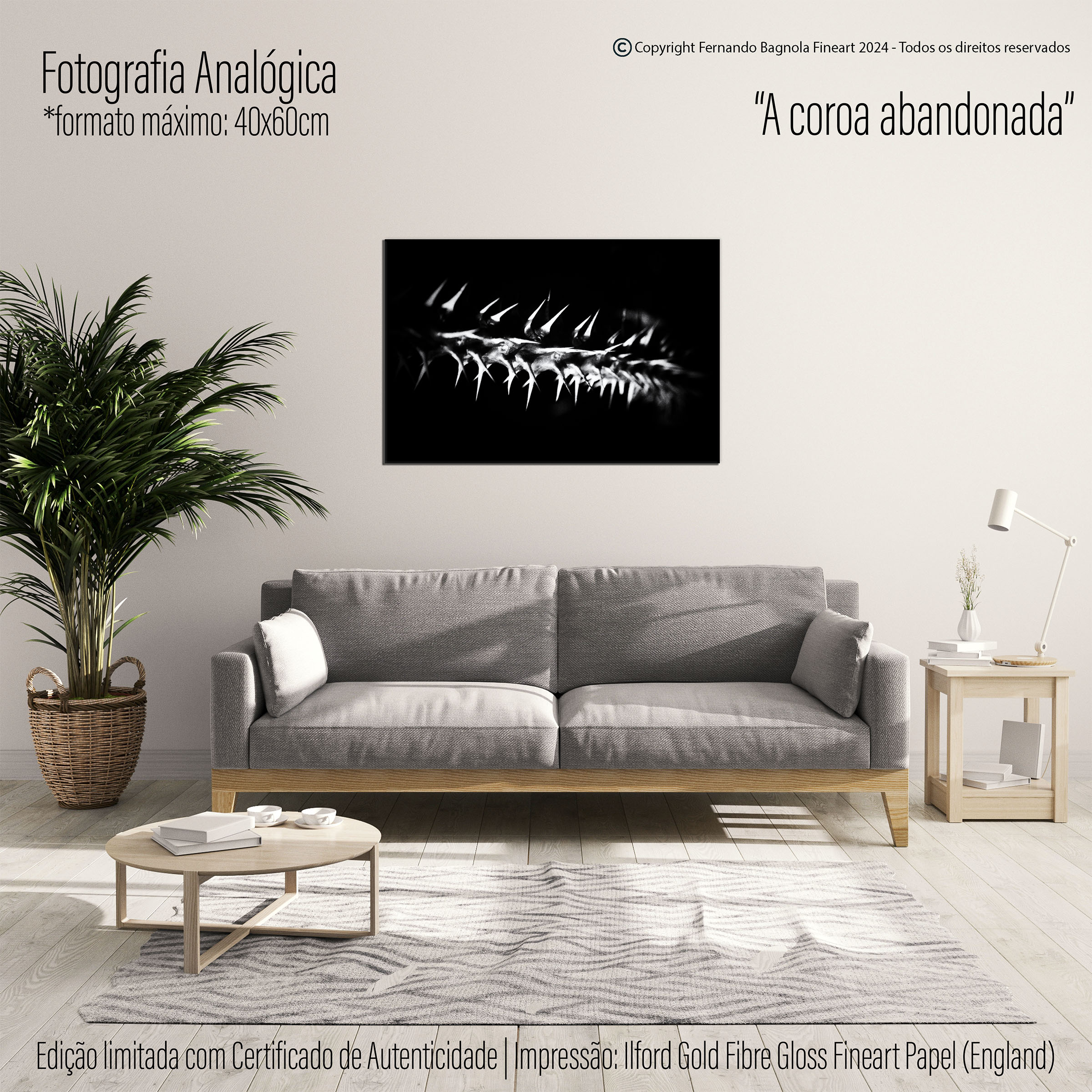 Obra FA-003 apresentada num ambiente