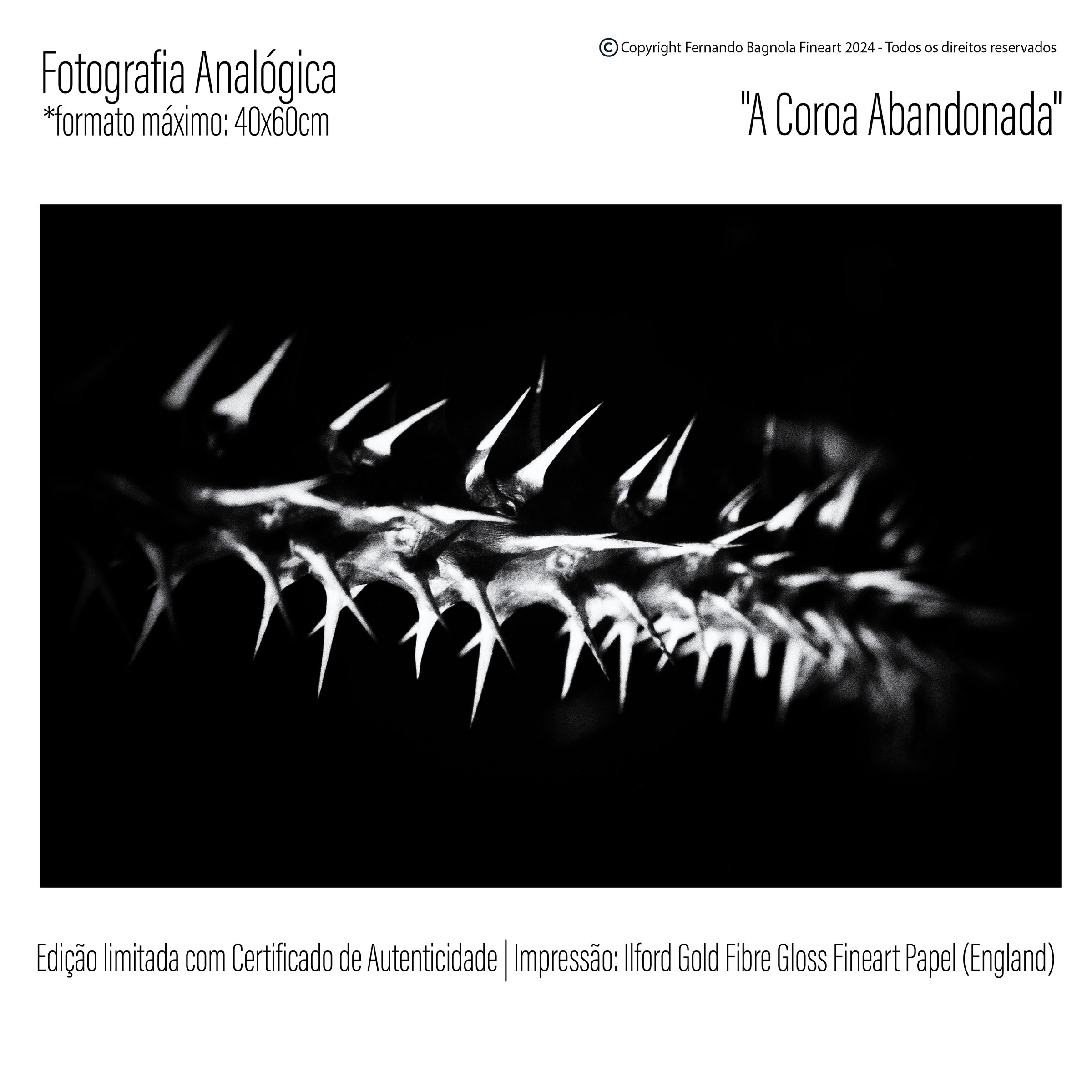 Obra fotogrÃ¡fica FA-003