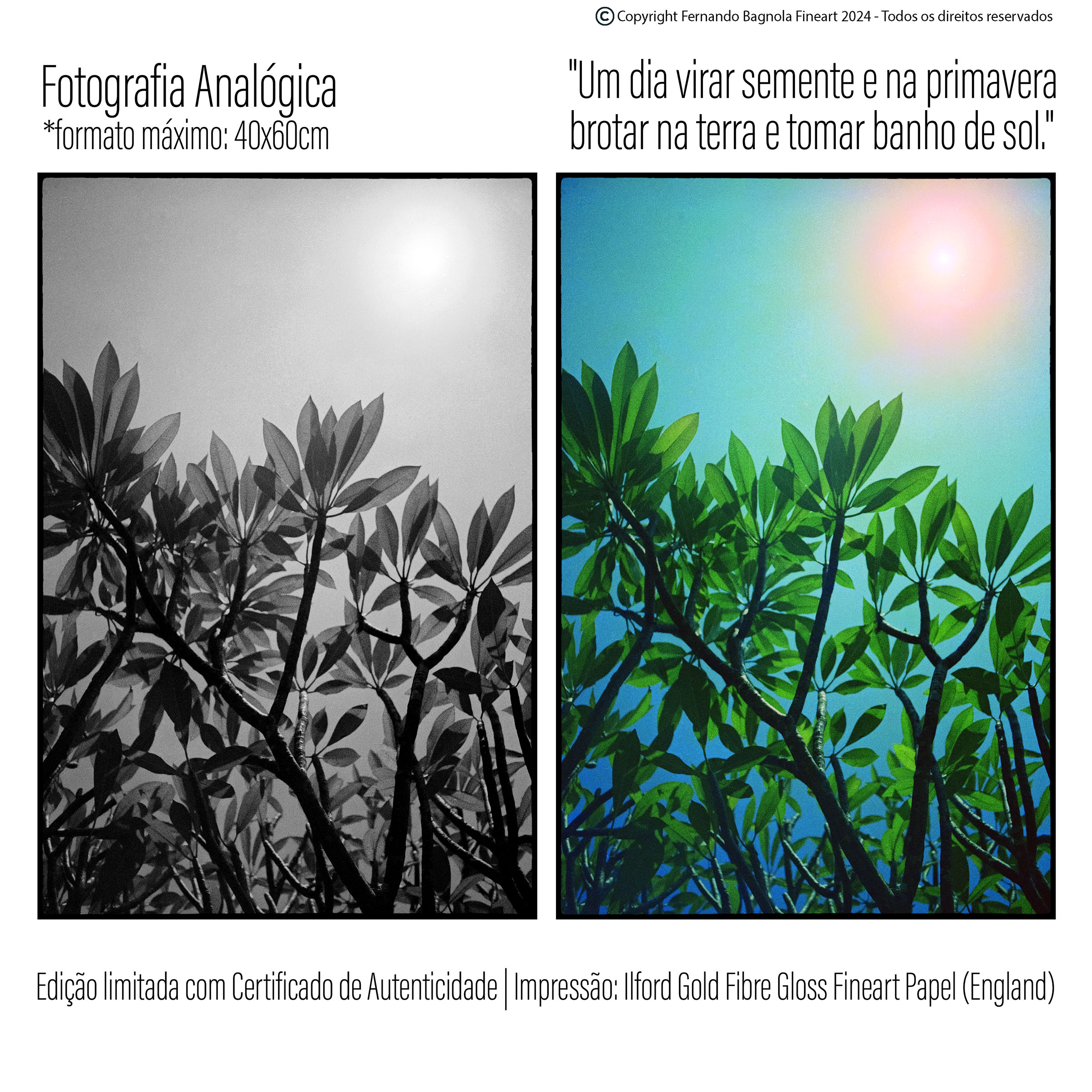 Obra fotogrÃ¡fica FA-032